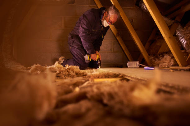 Best Residential Insulation in Ogdensburg, NY